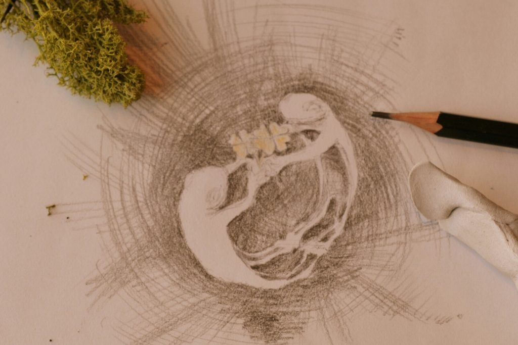 カエル君のデッサン画像