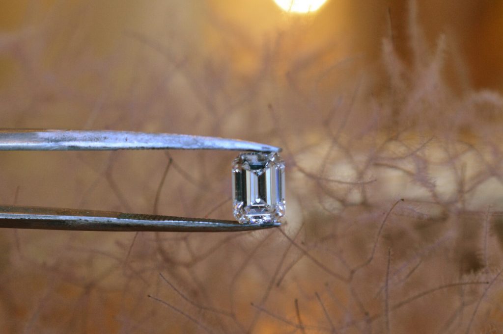 静岡フルオーダー