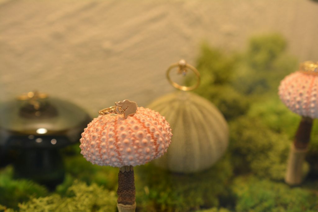 キノコの上にジュエリーを静岡県沼津
