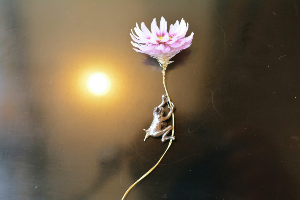 お花屋さんにブローチをプレゼント静岡県東部沼津で