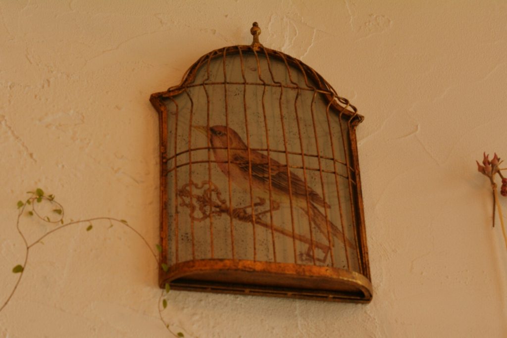 ディスプレイされたディートの店舗