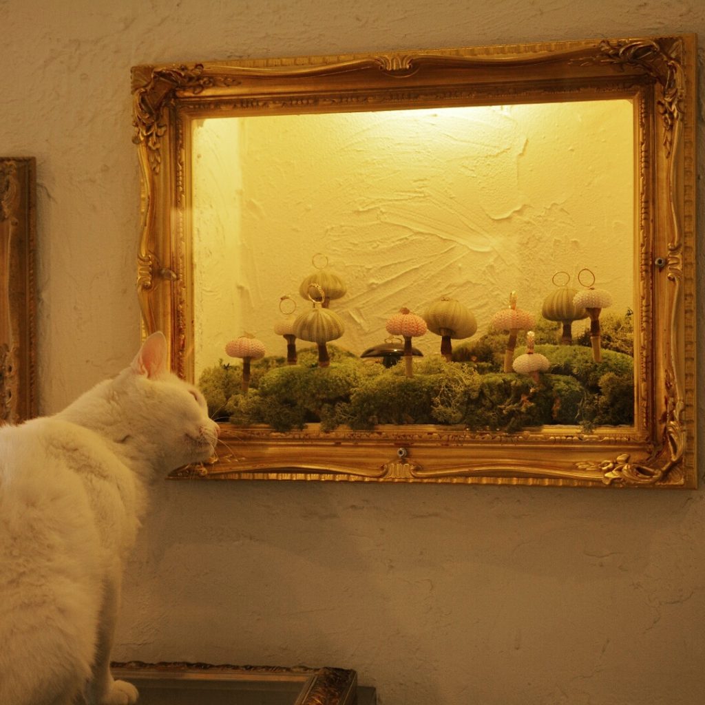 指輪を探しに来た白ネコ